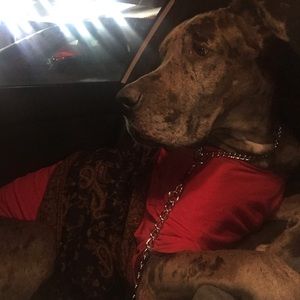 Meet your Posher, Ingrid